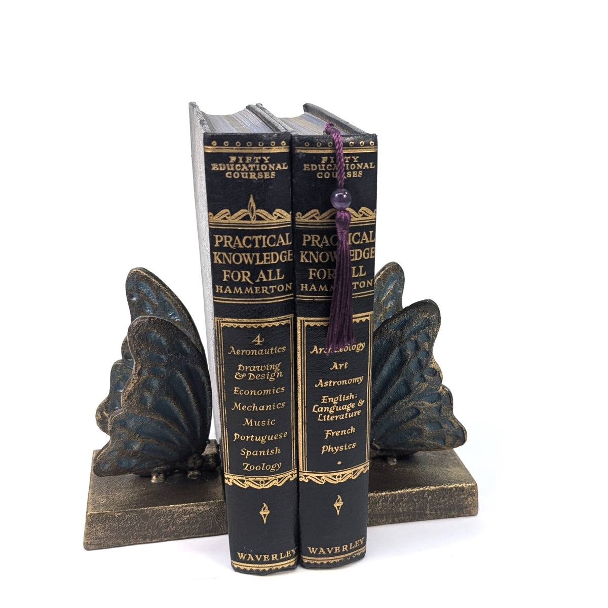 Blue and gold butterfly bookends displayed with books