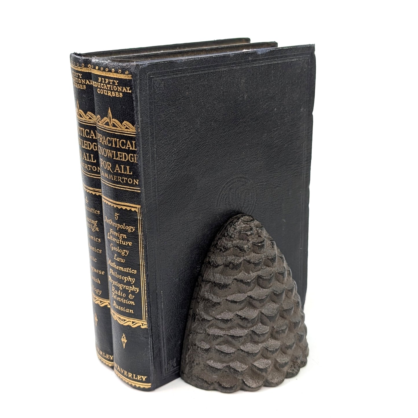 Cast Iron Bookends - Fir Cones