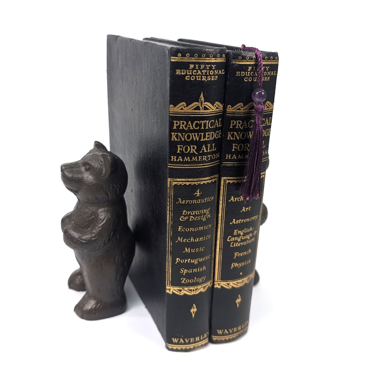 Cast iron bear bookends supporting a row of books