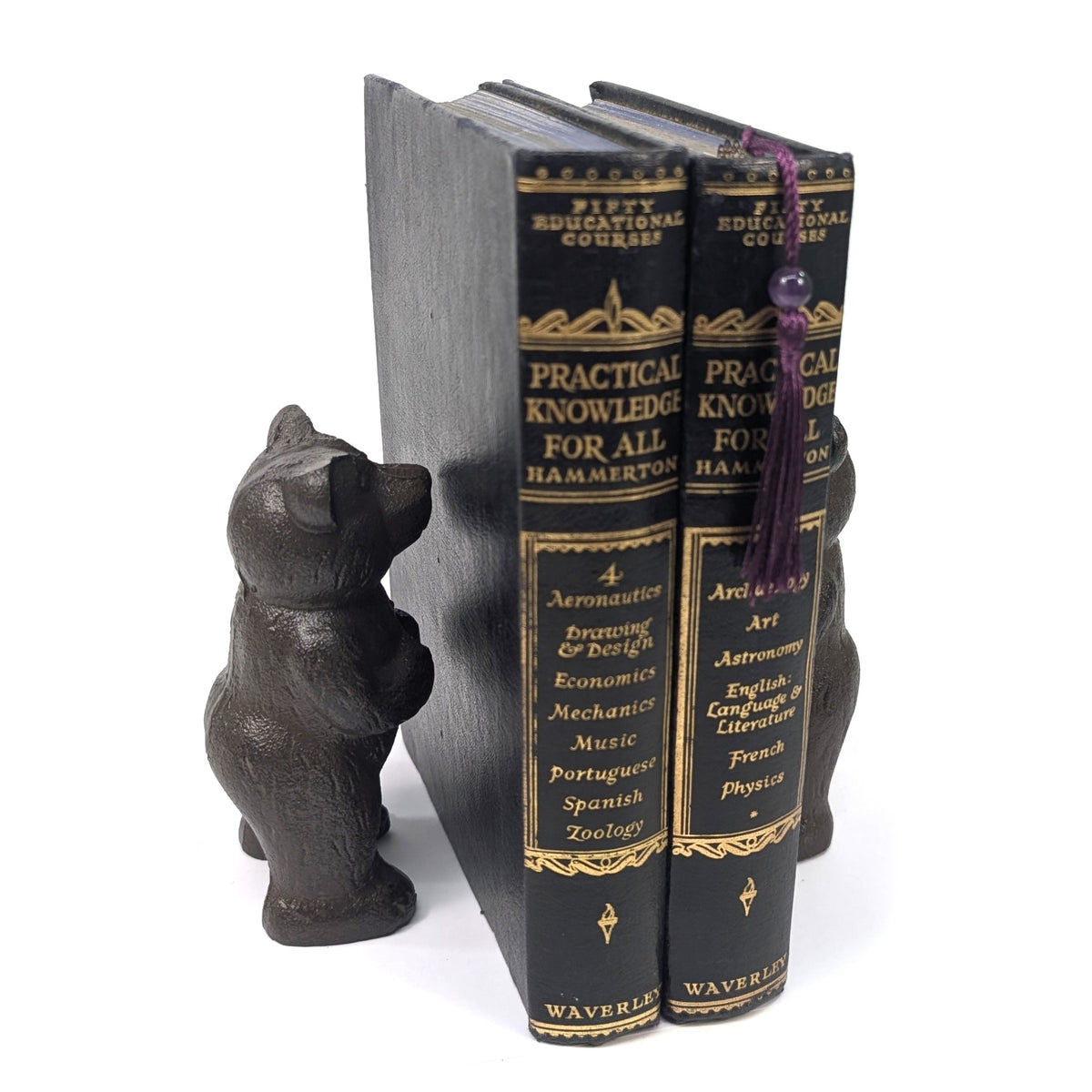 Side view of a standing bear bookend beside books