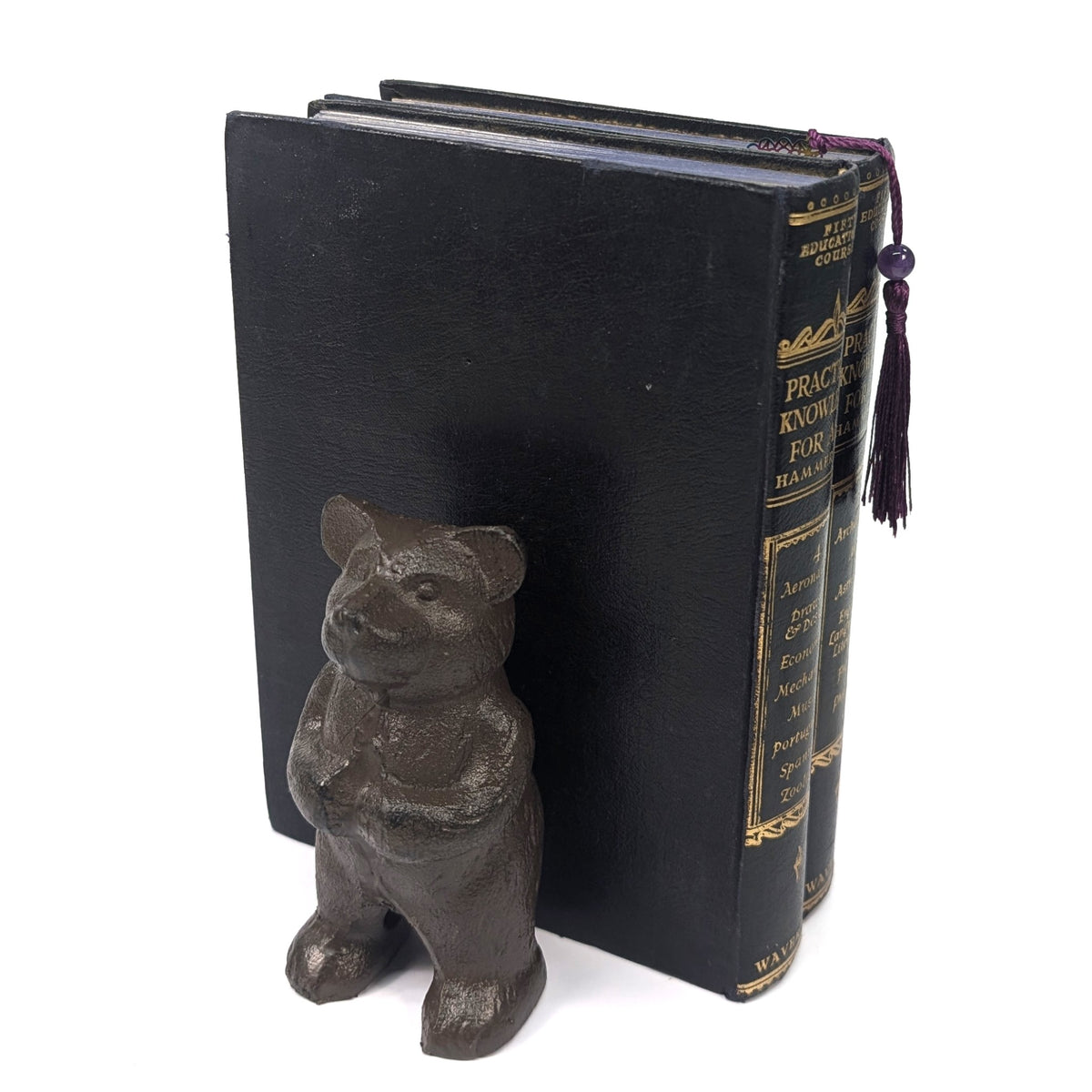 Angled view of a standing bear cast iron bookend against books