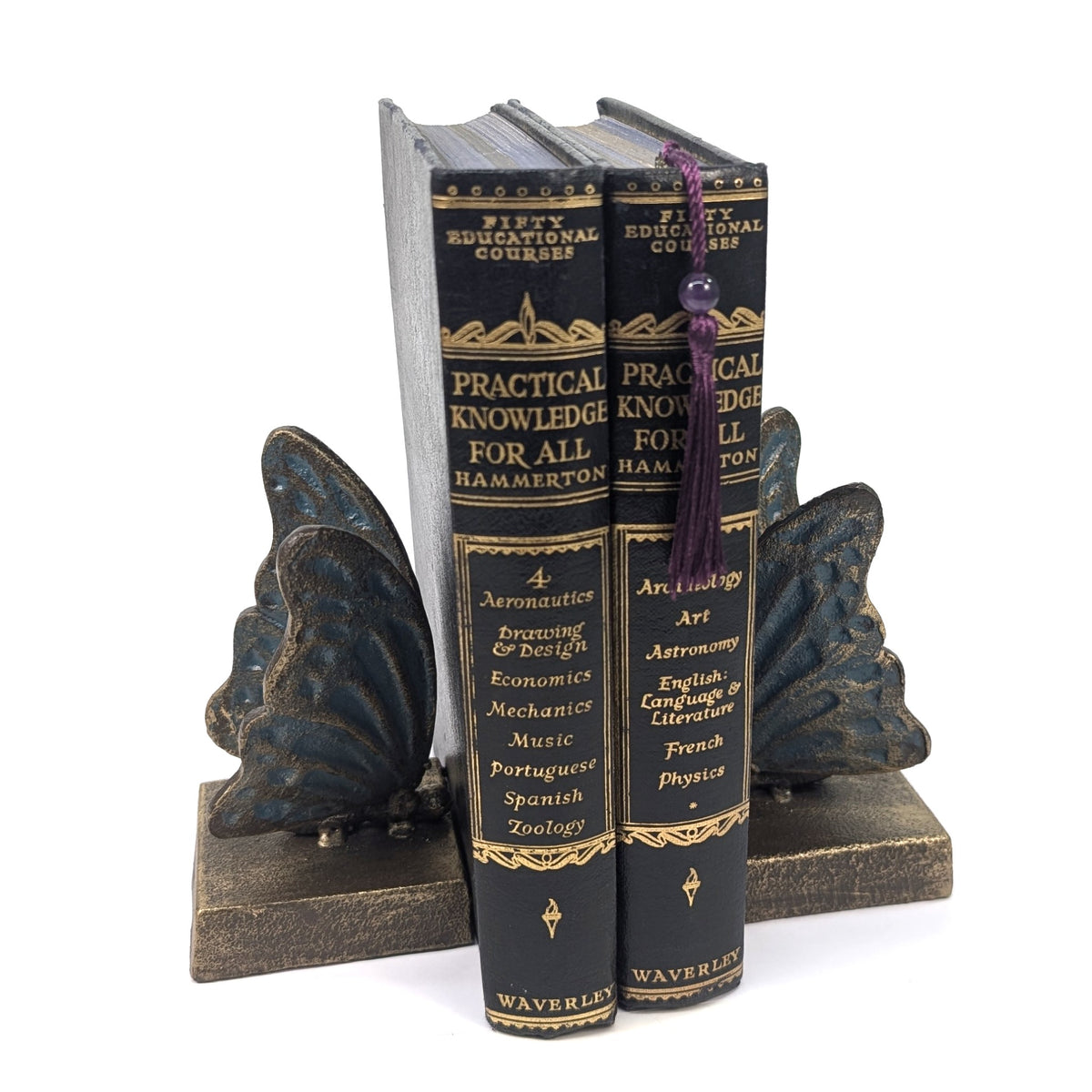 Cast iron butterfly bookends supporting two books
