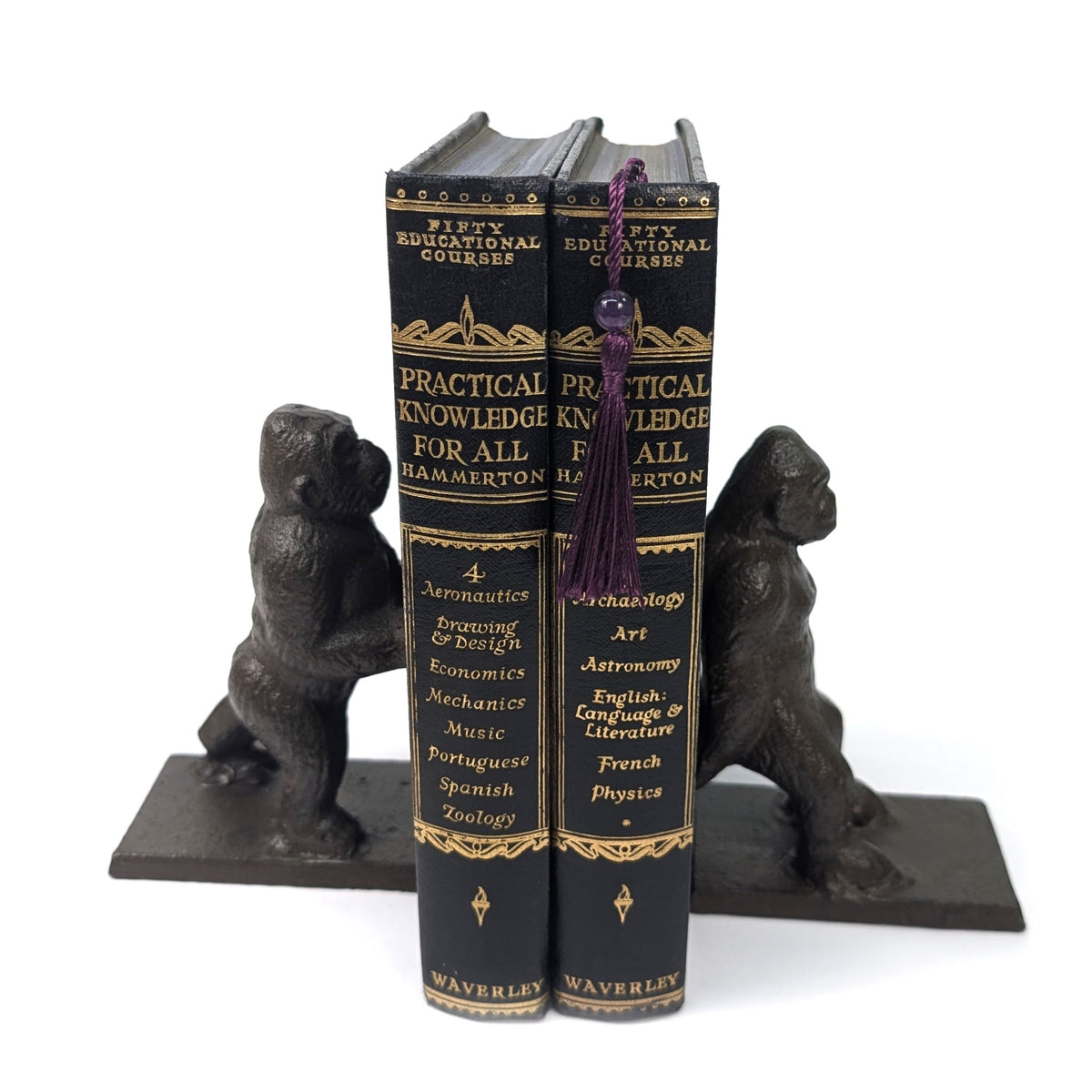 Pair of strong gorilla bookends supporting books