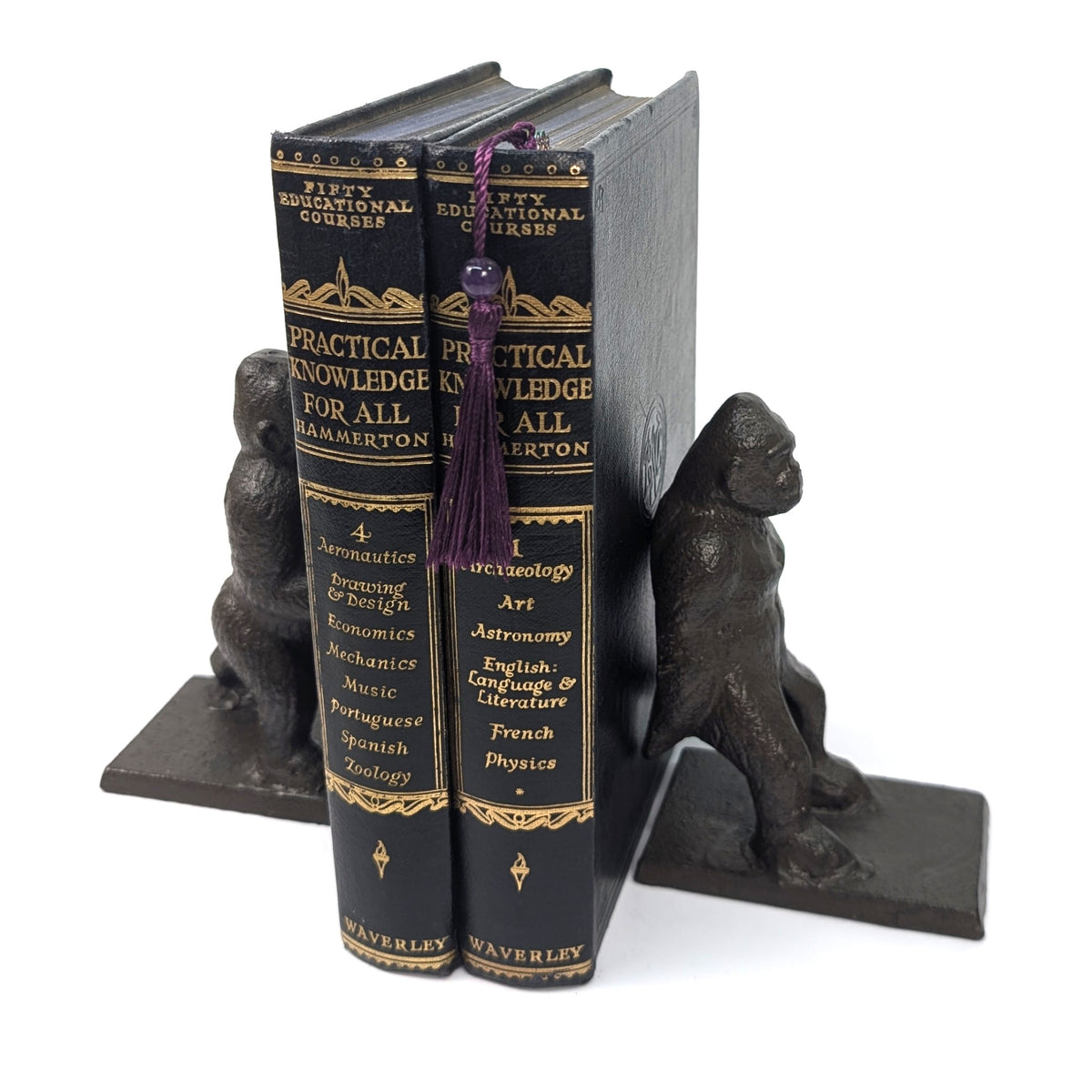 Angled view of gorilla bookends displayed with books