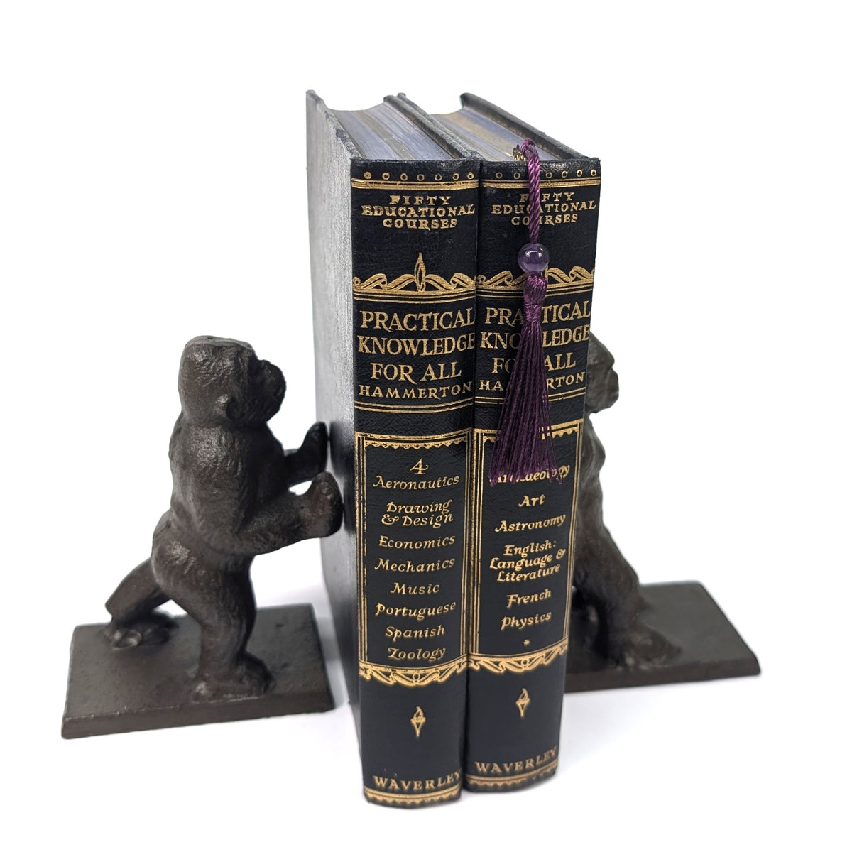 Close-up of the pushing gorilla bookend beside books